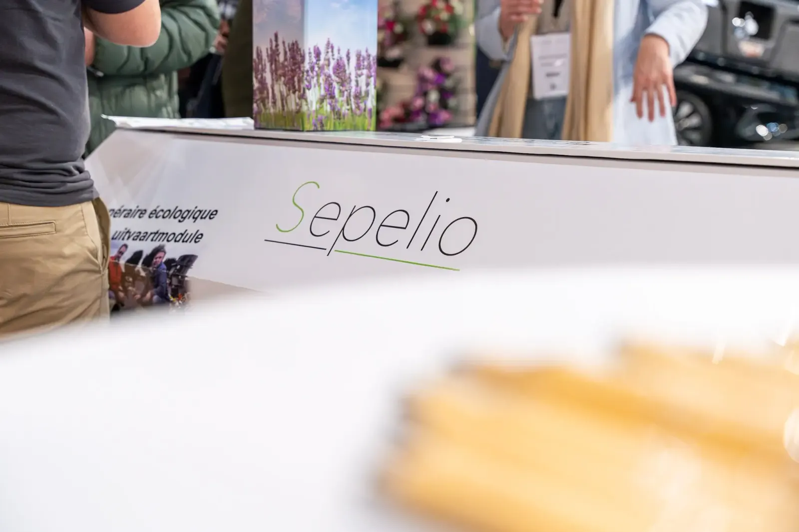 Équipe SEPELIO